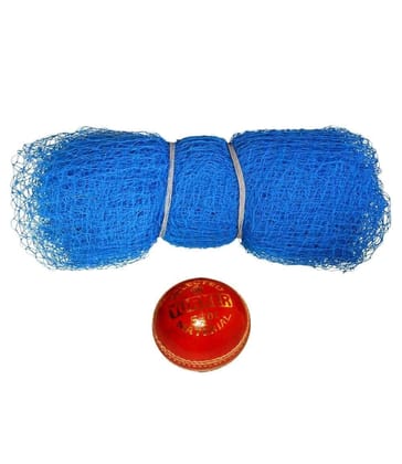 Prozone Nylon Blue Cricket Net 30X10 and 20X10 with 6 Tennis or a Leather Cricket Balls (20X10 Leather Ball)