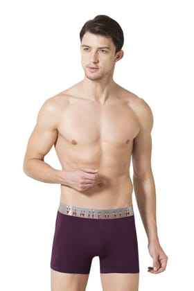 Van Heusen Men's Cotton Blend Trunks (Pack of 1) (IHTR1PPP20049L_Purple_L)