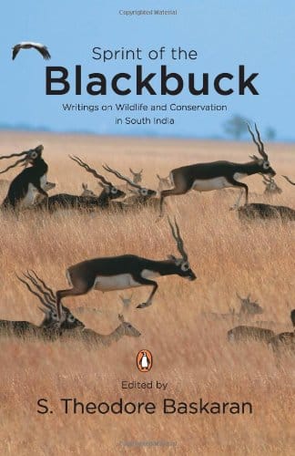 Sprint of The Blackbuck: Writings on Wildlife and Conservation in South India