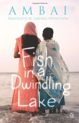 Fish in a Dwindling Lake [Paperback] Ambai