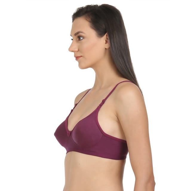 BODYCARE Pack of 2 Seamless Cup Bra in Royal Blue-Wine Color - E5554RBLWI