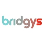 bridgys