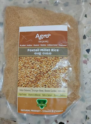 Foxtail Millet