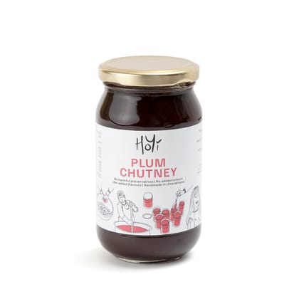 Plum Preserve 470 gm | Organic Handmade Fruit Jam | HoYi Fruit Plum Jam