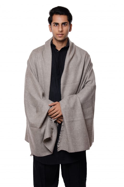 Handwoven Grey Pashmina Shawl Leh (1TTXGENCH12553)