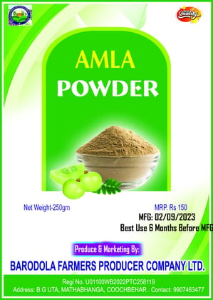 Amla Powder