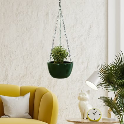 Kezevel Indoor Outdoor FRP Planters - Lightweight Durable Glossy Olive Green Finish Flower Pot , Hanging Planter Home Decor, Size 20.32X20.32X12.70 CM