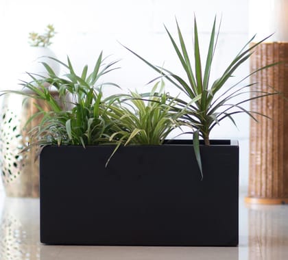 Kezevel Indoor Outdoor FRP Planters - Lightweight and Durable Matte Black Rectangle Flower Pot , Tree Planter for Plants  Size 60.96X30.48X30.48CM