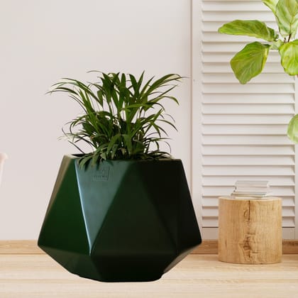 Kezevel Indoor Outdoor FRP Planters - Lightweight Durable Matte Olive Green Diamond Flower Pot, Tree Planters for Garden Home, Size 53.34X53.34X38.1CM
