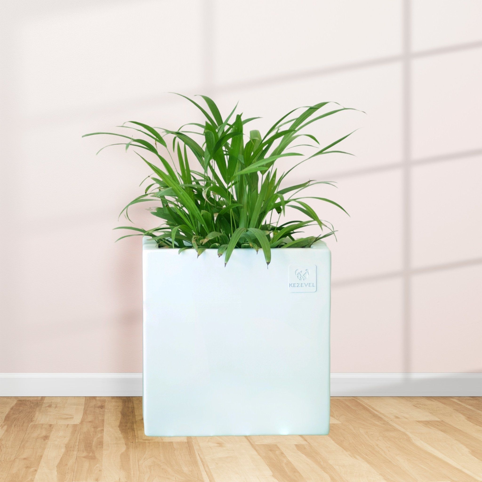 Kezevel Indoor Outdoor FRP Planters - Lightweight and Durable Matte White Square Flower Pot, Tree Planter for Garden & Home, Size 30.48X30.48X30.48 CM