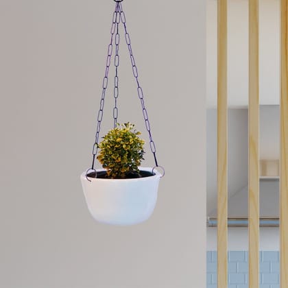 Kezevel Indoor Outdoor FRP Planters - White Hanging Flower Pot, Lightweight Durable Glossy Hanging Planter Garden Home Décor, Size 20.32X20.32X12.70CM