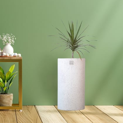 Kezevel Indoor Outdoor FRP Planters - Lightweight Durable Matte White Stone Finish Cylindrical Flower Pot , Garden Planter, Size 33.02X33.02X60.96 CM