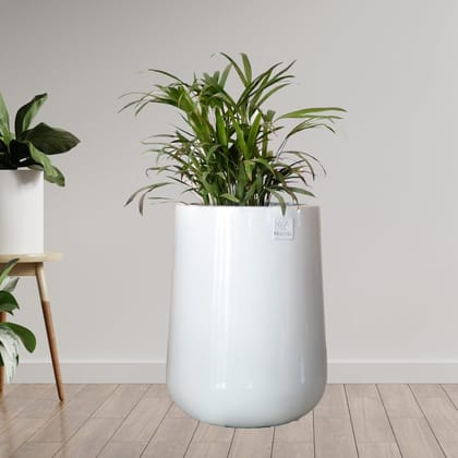 Kezevel Indoor Outdoor FRP Planters - Lightweight Durable Glossy White Finish Plumpy Flower Pot, Planter for Garden Décor, Size 35.56X35.56X45.72 CM