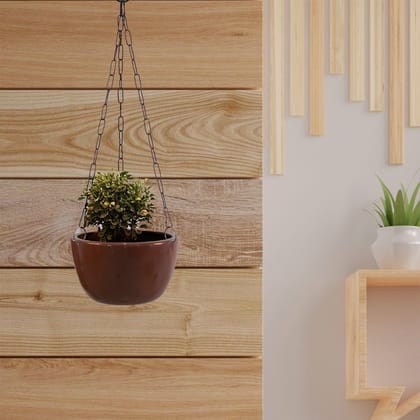 Kezevel Indoor Outdoor FRP Planters - Brown Hanging Flower Pot, Lightweight Durable Hanging Planter for Garden Home Décor, Size 20.32X20.32X12.70 CM