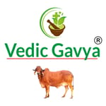 VEDIC GAVYA