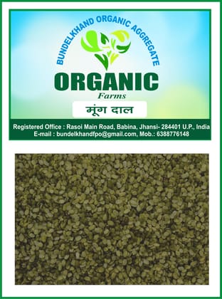 Organic Mung Dal