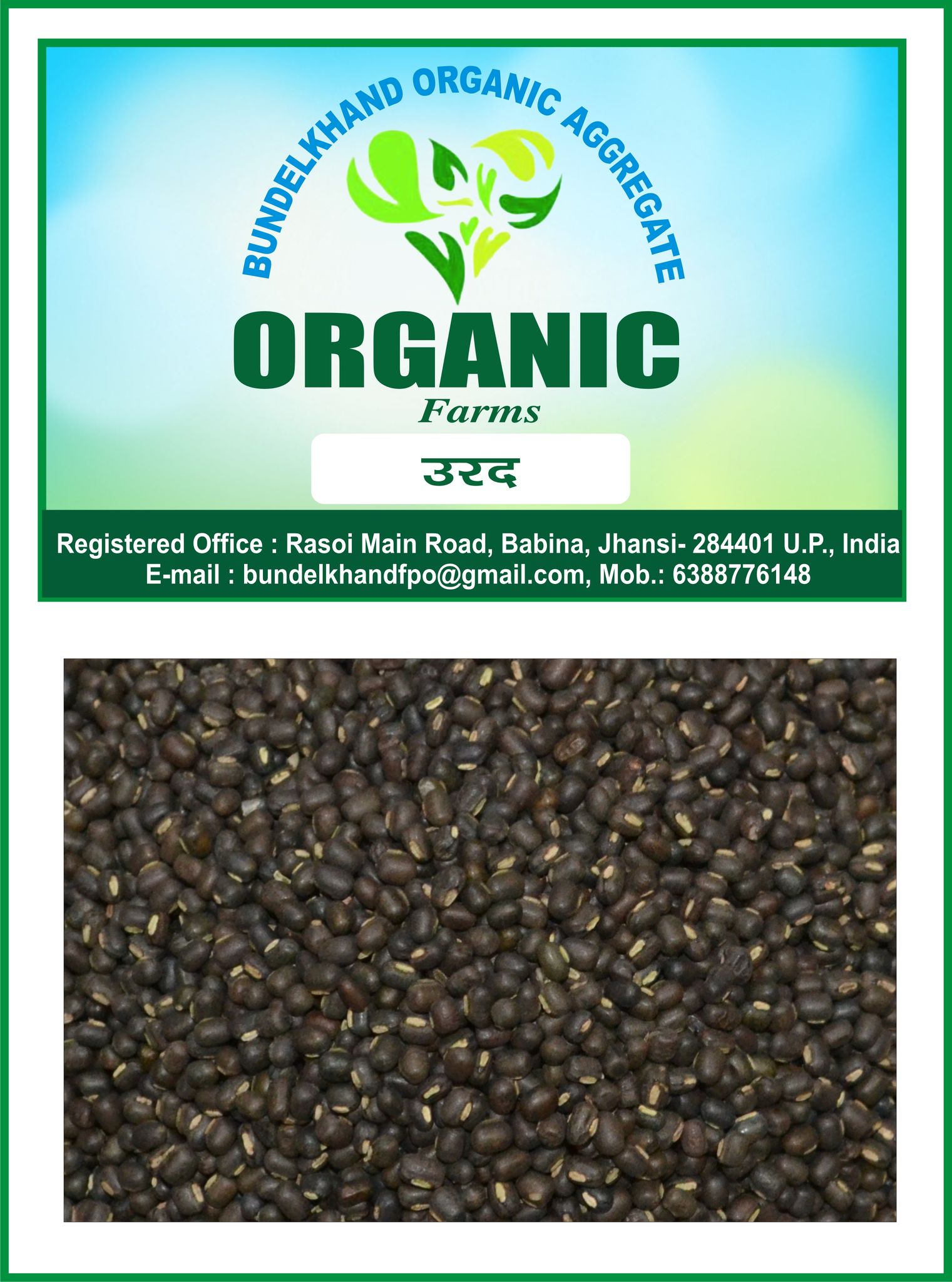 Organic Urda whole