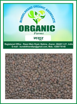 Organic Masur Pulses