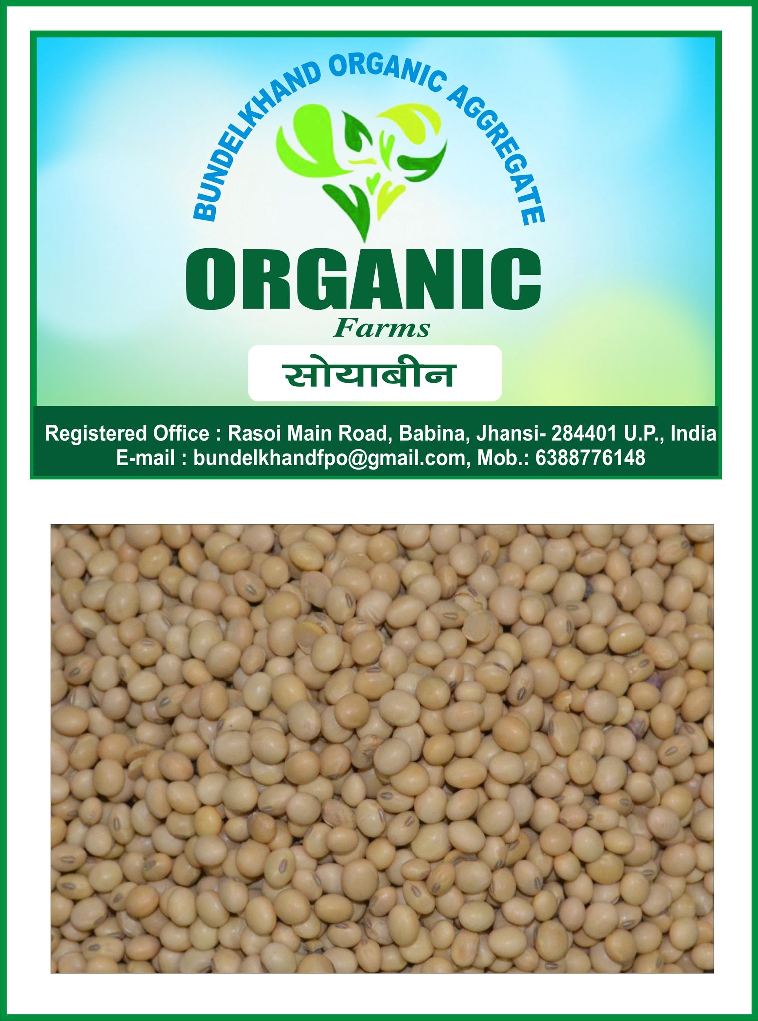 Organic Soyabean