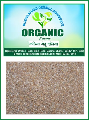 Organic Katiya wheat dhaliya