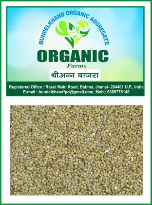 Organic Millets Bajra