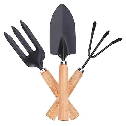 Garden Wooden Tool Set  Trowel, Hand Fork & Hand Rake for Gardening Garden Tool Kit  (3 Tools)