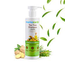 Mamaearth Tea Tree & Ginger Oil  Sulfate-Free Cleanser Shampoo (Natural Hair Care), 250 ml