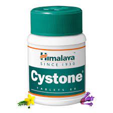 Himalaya Cyston Tablet 60