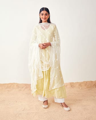 White Chiffon Embroidered Dupatta