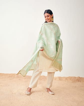 Chanderi Embroidered Dupatta