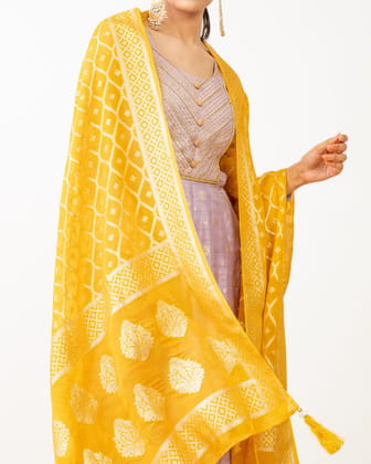 Badla Self Organza Dupatta