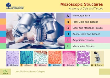 Biology - Microscopic Structures (Set of 52 Charts)