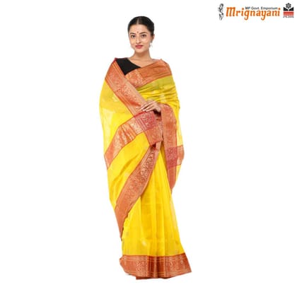 HANDLOOM CHANDERI SILK SAREE WITH BLOUSE (SKU - 1SC202160422, SAREE - 1009)