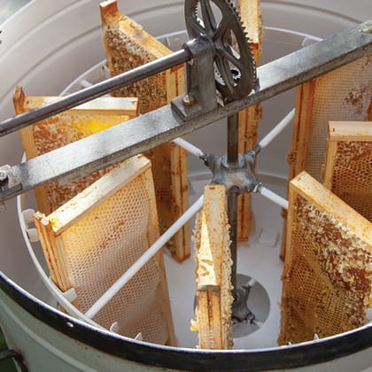 Bee Honey Extractor