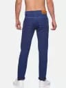 Men Regular Mid Rise Blue Jeans