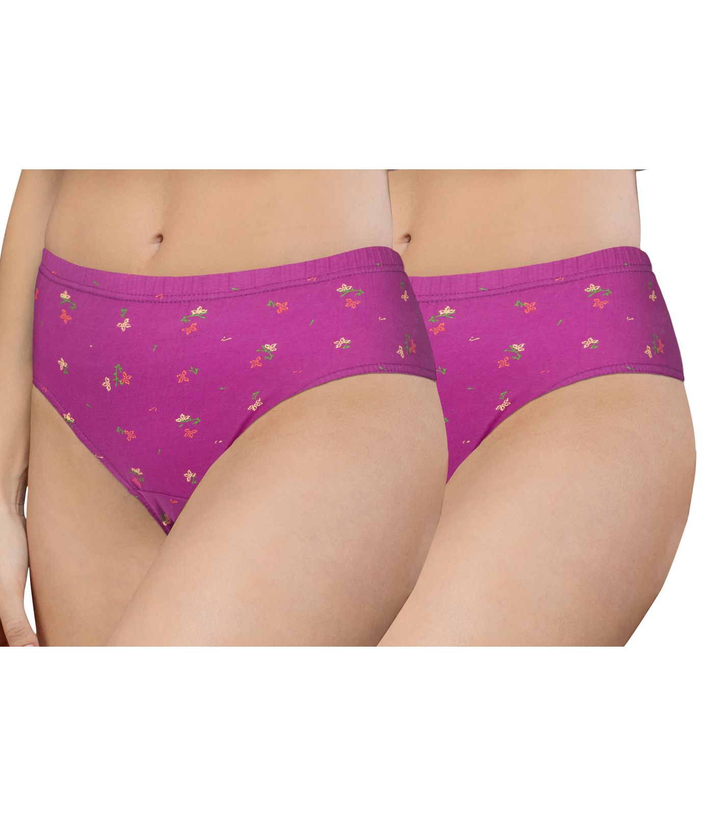 NRG Womens Cotton Assorted Colour Panties ( Pack of 2 Purple - Purple ) L02 Hipster