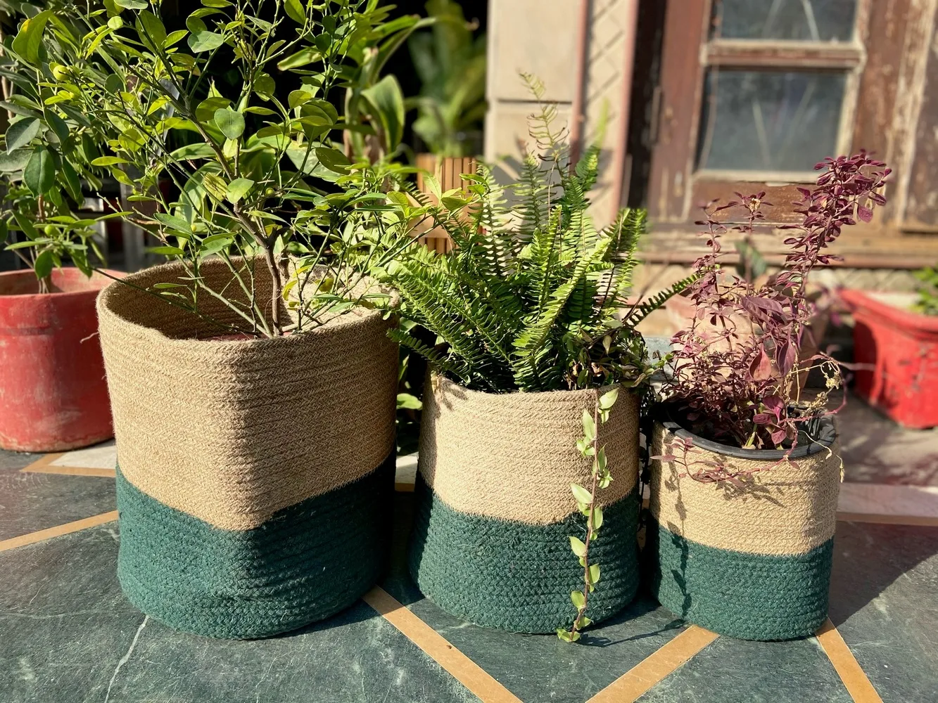 Jute Basket | Green Bottom | Round | 8, 10, 12 inch