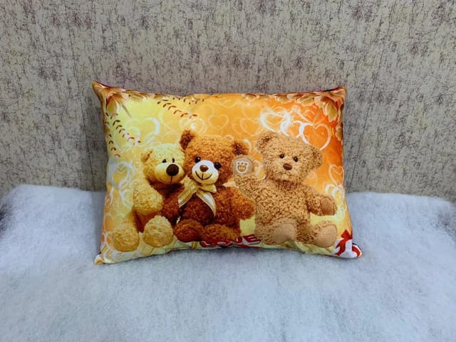 pillow teddy