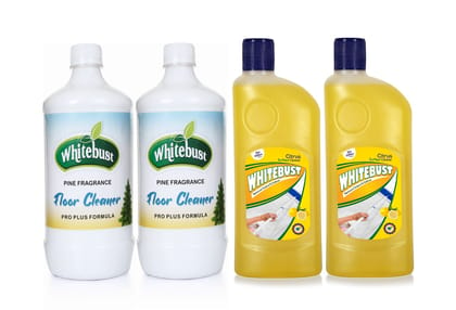 Whitebust Floor Cleaner Pine Phenyl (1ltrx2) & Citrus(500mlx2) floor cleaner Pack of 4