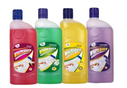 Whitebust Floor Cleaner Floral,Citrus &Jasmine,Lavender Fragrance 500ml Pack of 4