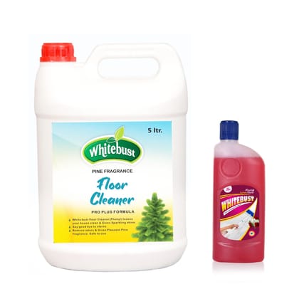 Whitebust Floor Cleaner Phenyl 5 Ltr & 500ml Floral Floor Cleaner Combo Pack