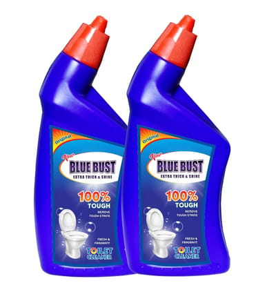 Bluebust Toilet cleaner Liquid 1000ml Pack of 2