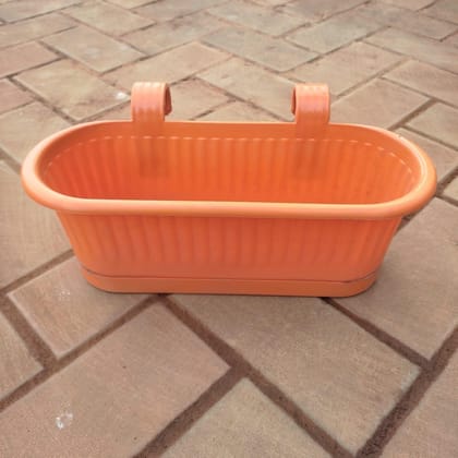 6 Inch Double Hook Plastic Hanging Planter (any colour)