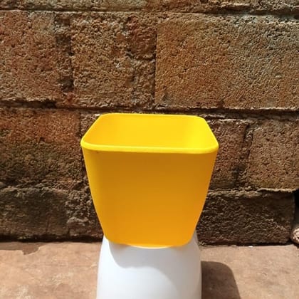 8 Inch Anycolour Square Premium Plastic Pot