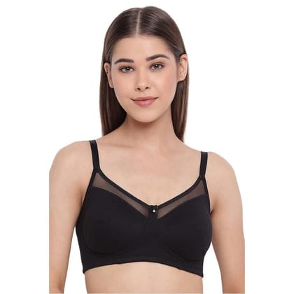 Enamor Non-Wired Fixed Strap Non Padded Womens Every Day Bra