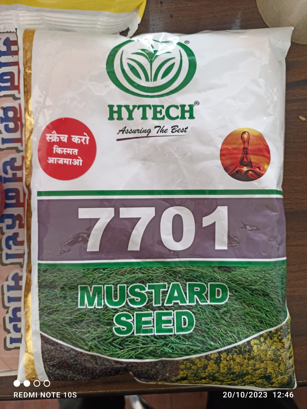 Hytech 7701 Mustard Seed