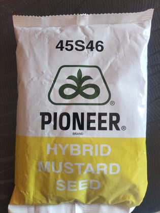 Pioneer 45S46 Mustard Seed (Pack of 10)