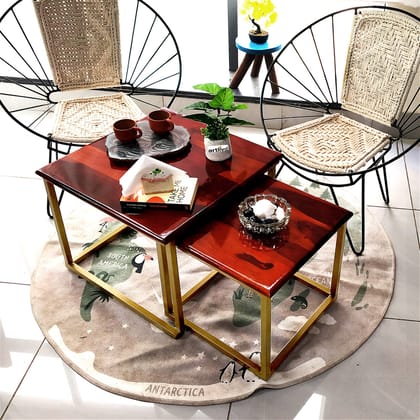 Artlivo Sheesham Solid Wood Nested Coffee Table - Set of 2 Square in (22 & 17 Inches) Dia