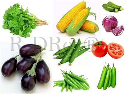 Combo of 9 Vegetables Seeds - Coriander, Sponge Gourd, Bottle Gourd, Cabbage Red, Zucchini, Brinjal Chuchu, Corn Maize, Chilly Green, Tomato MC2.2