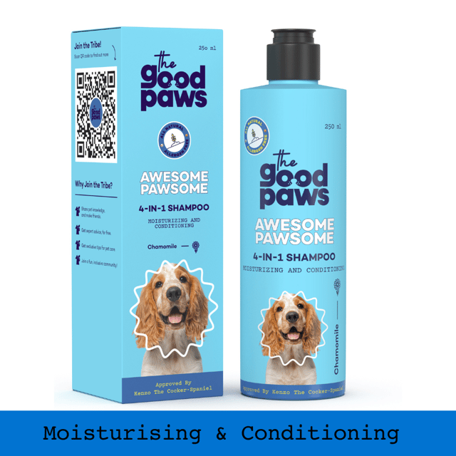 Olive oil 2024 dog conditioner